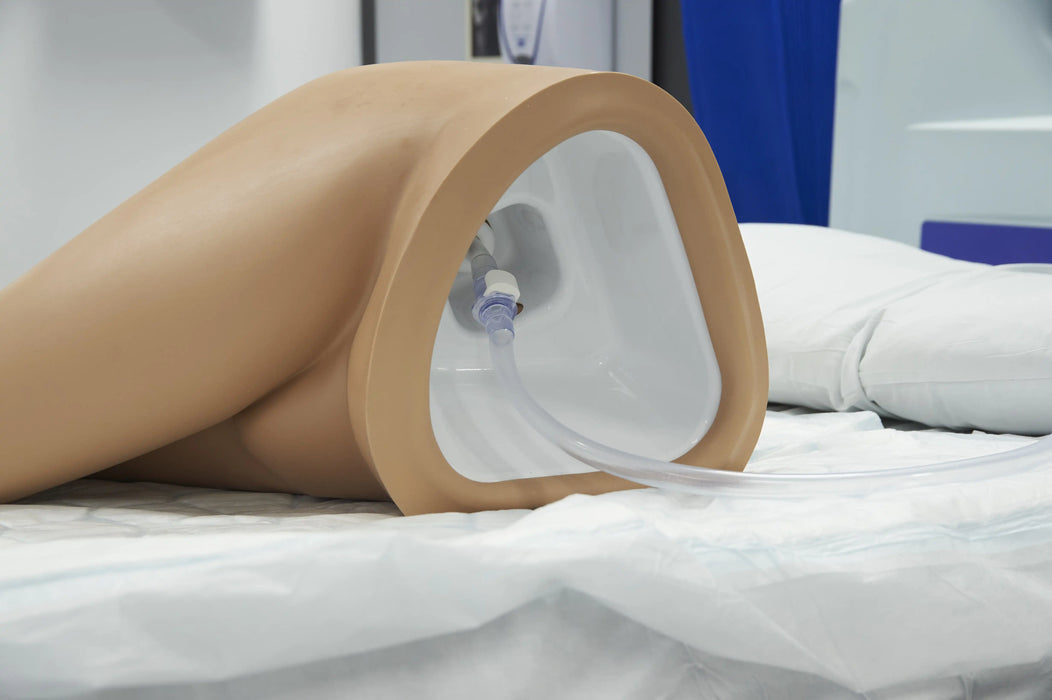 Rectal Examination, Stool Assessment And Enema Training Model