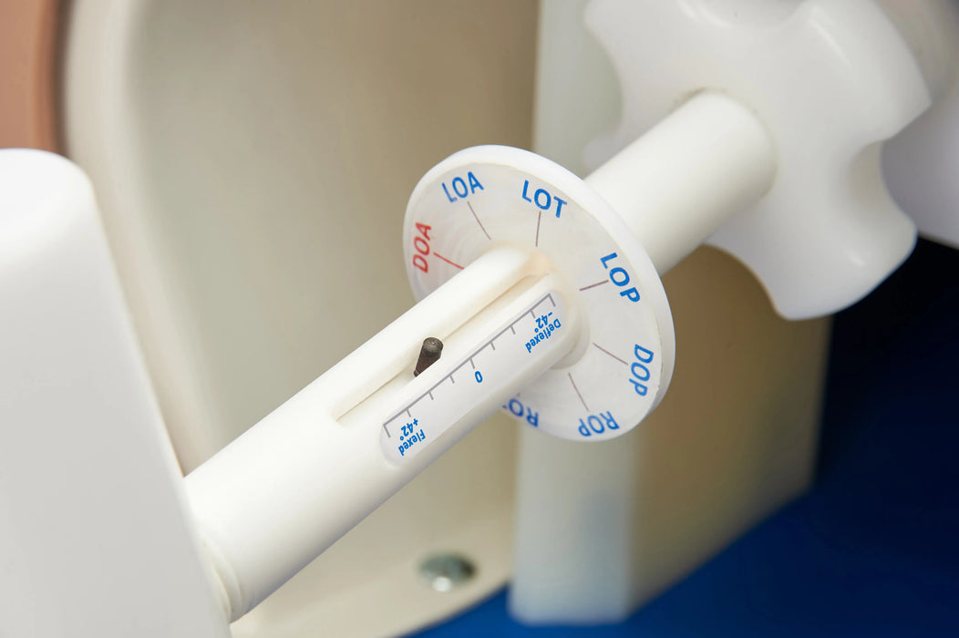 Debra Enhanced® - Impacted Fetal Head Simulator, Light
