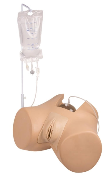 Florence Bladder Catheterization Simulator (Female)