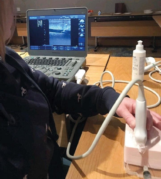SonoEZ Ultrasound Trainer - Injection