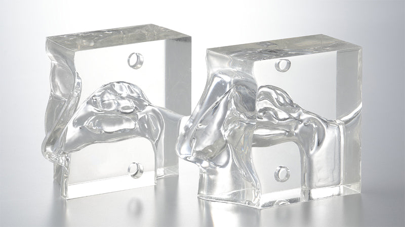 Transparent Nasal Cavity Model