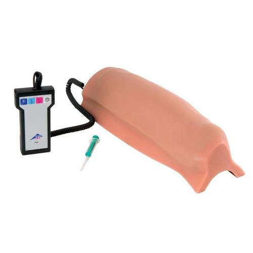 Intramuscular Injection Simulator - Upper Leg
