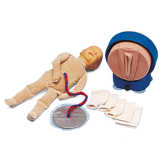 Birthing Simulator with 5 Different Cervices, 7 part
