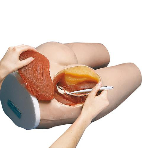 Image 2 - I.M. INJECTION SIMULATOR