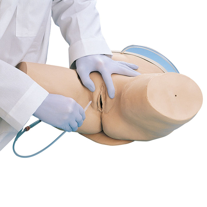 Catheterization Simulator, female
