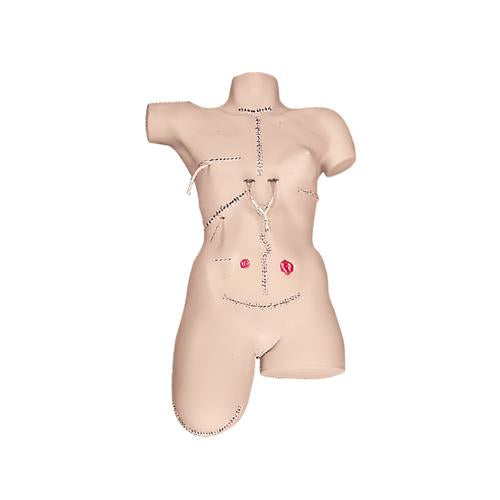 Image 2 - BANDAGING SIMULATOR WITH OSTOMY