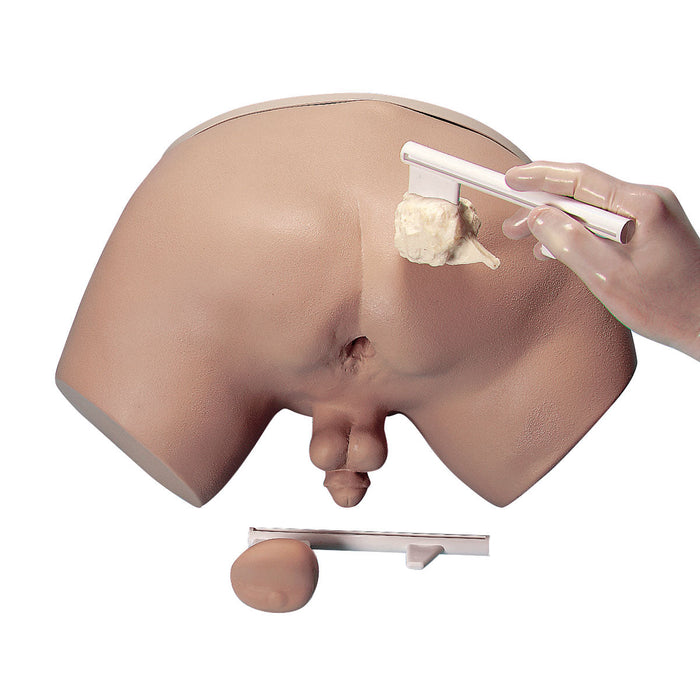 Prostate Examination Simulator