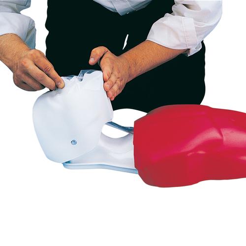 Basic Buddy™ CPR Torso