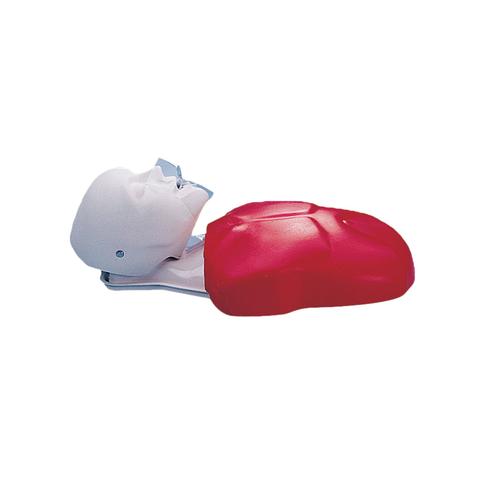 Image 2 - BASIC BUDDYâ„¢ CPR TORSO