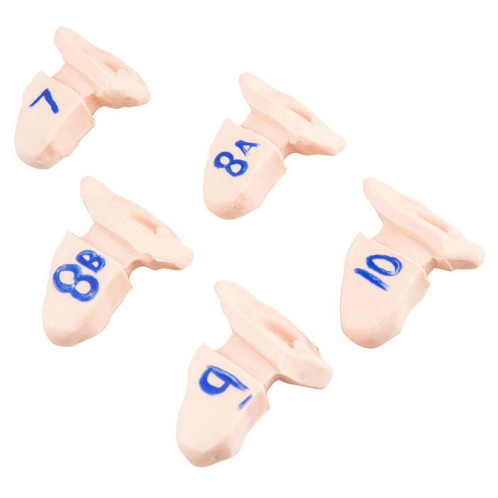 Supplementary Ears
