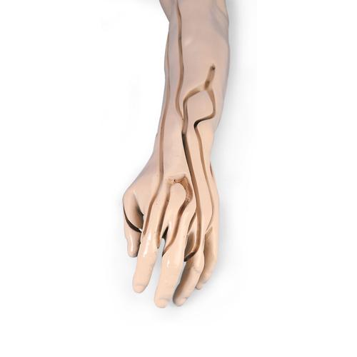 Image 5 - ADVANCED VENIPUNCTURE AND INJECTION ARM, WHITE