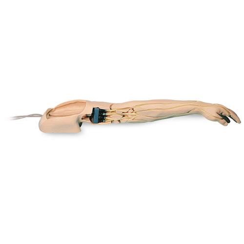 Image 6 - ADVANCED VENIPUNCTURE AND INJECTION ARM, WHITE