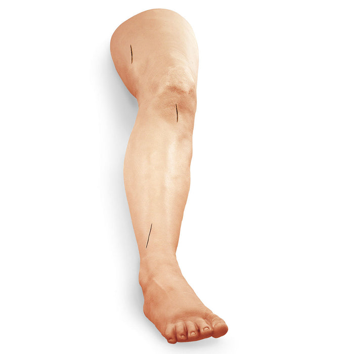 Suture Practice Leg, Light