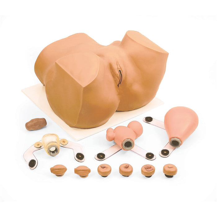 EVA Gynecological Training Manikin
