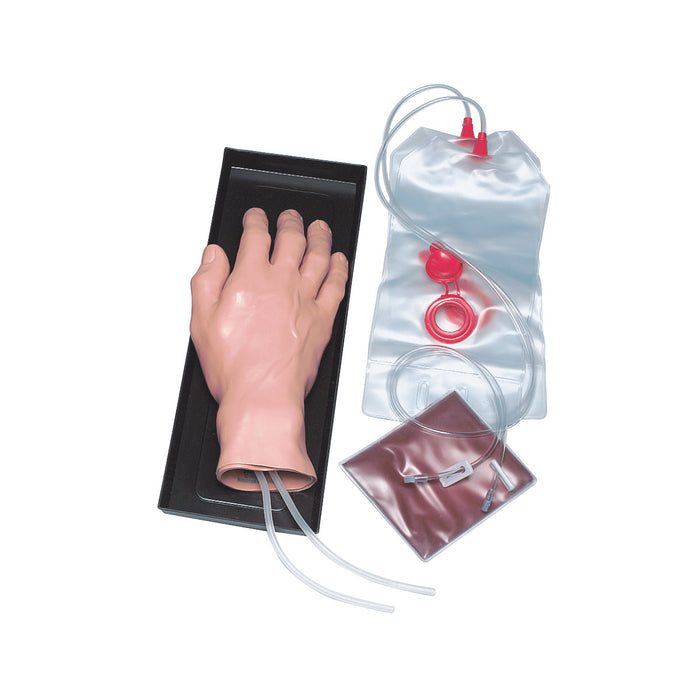 I.V. Training Hand
