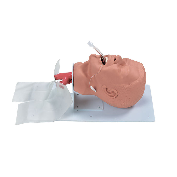 Economy Adult Airway Management Trainer