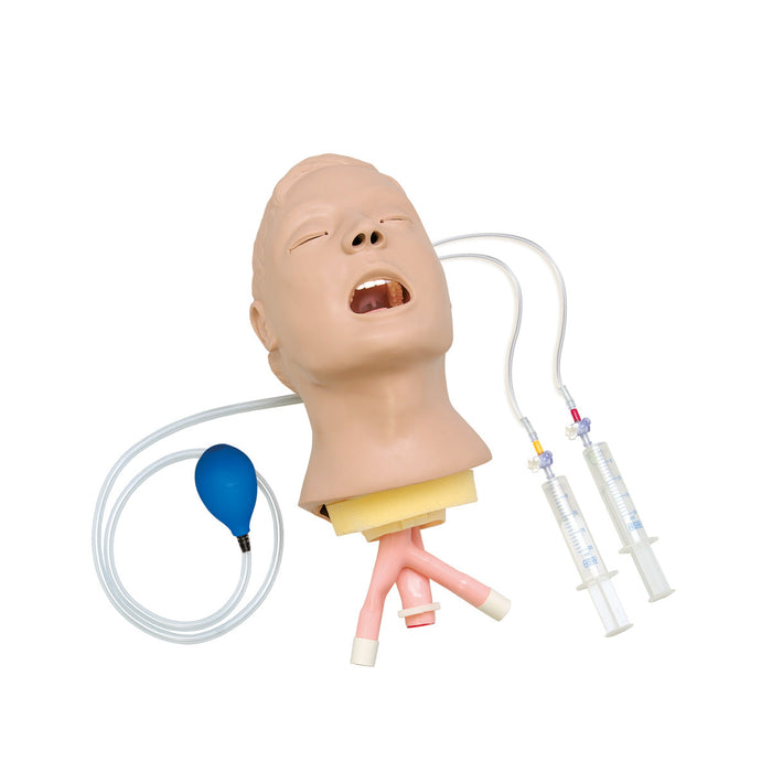 “Airway Larry” Adult Airway Management Trainer Head