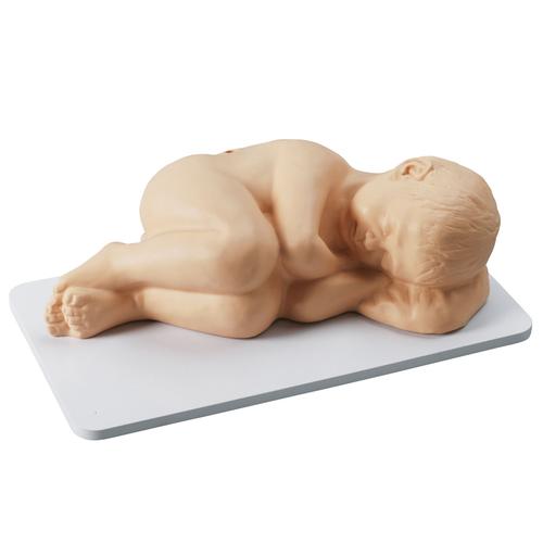 Image 3 - PEDIATRIC LUMBAR PUNCTURE SIMULATOR