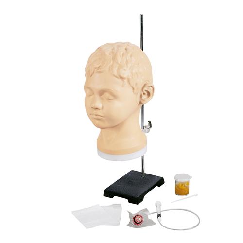 Image 2 - DIAGNOSTIC AND PROCEDURAL EAR TRAINER
