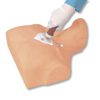 Image 2 - ADULT STERNAL INTRAOSSEOUS INFUSION SIMULATOR