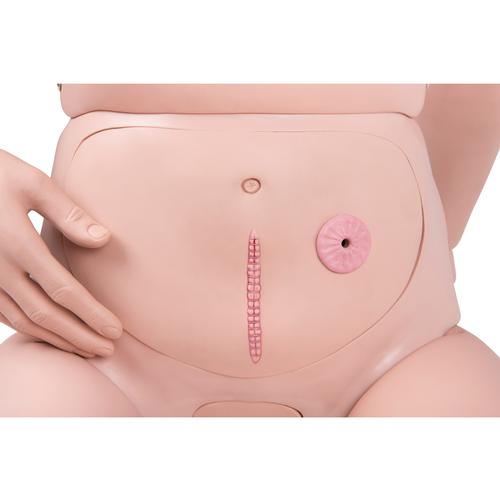 Image 5 - 3B SCIENTIFIC® PATIENT CARE MANIKIN PRO