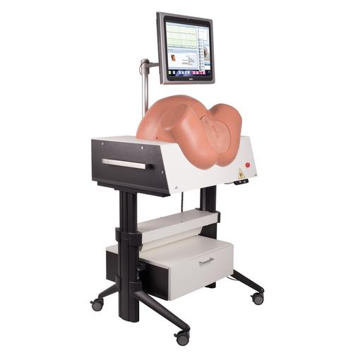 NEW SIMone Birthing Simulator