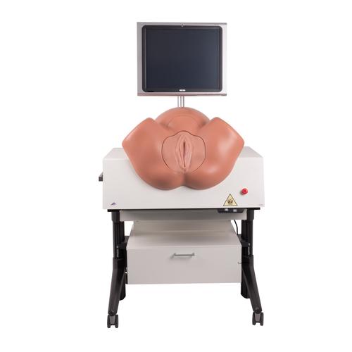 Image 2 - NEW SIMONEâ„¢ BIRTHING SIMULATOR