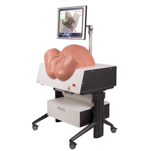 Image 4 - NEW SIMONEâ„¢ BIRTHING SIMULATOR