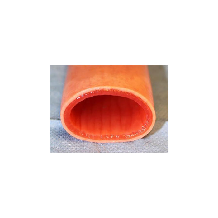 Bowel Sections wet (6"/15,2cm)