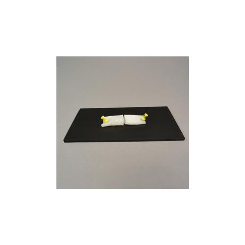 Image 2 - SPECIMEN MOUNTING PAD