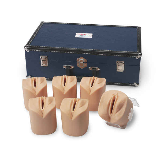 Cervical Dilatation and Effacement Simulators