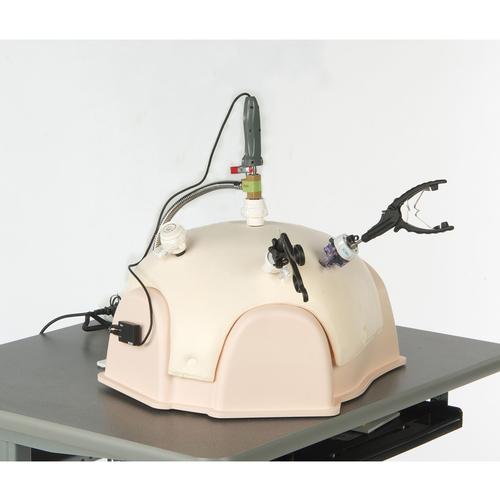 T12-Soft Laparoscopic Trainer 240V