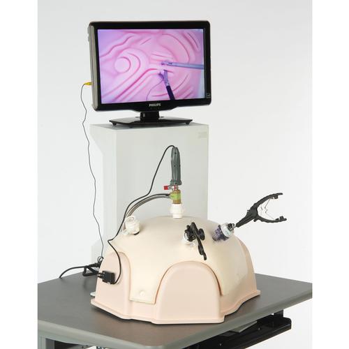 Image 3 - T12-SOFT LAPAROSCOPIC TRAINER 240V