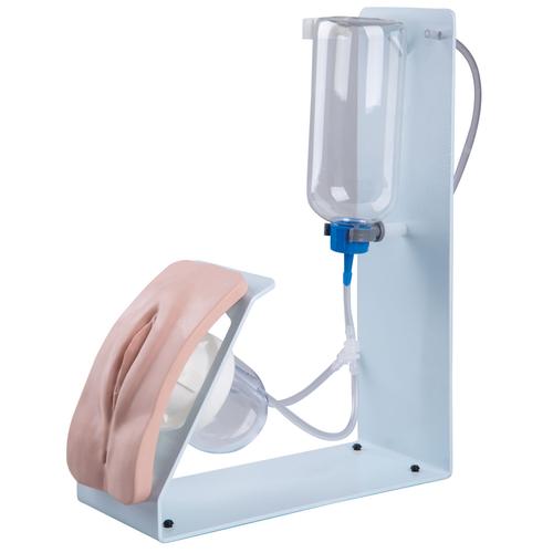 Catheterization Simulator BASIC, female