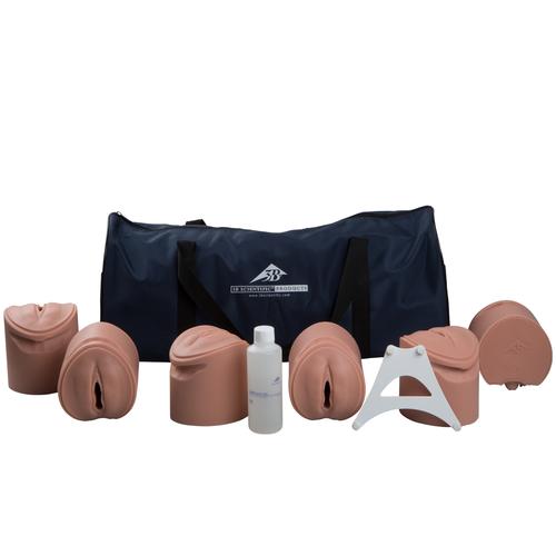 3B Birthing Stages Trainer