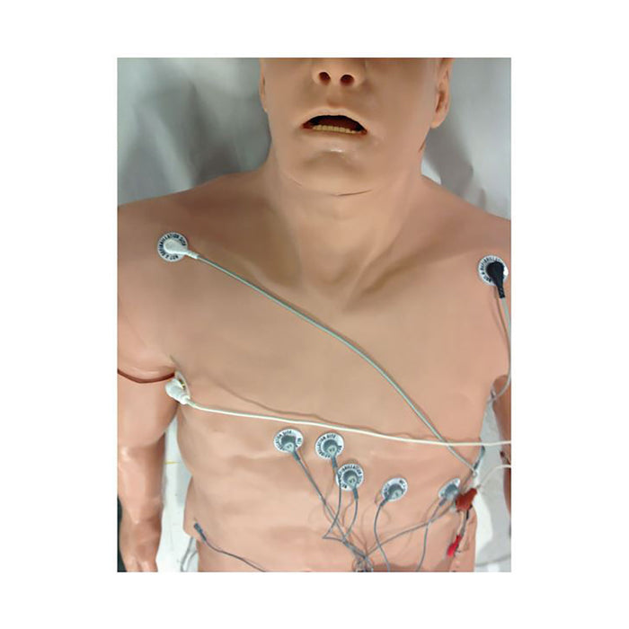 Simulator 12-Lead Arrhythmia with Manikin Overlay – Zoll, Large