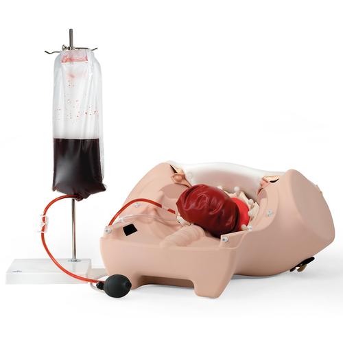 Image 2 - POSTPARTUM HEMORRHAGE TRAINER - PPH TRAINER P97
