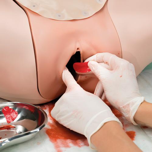 Image 4 - POSTPARTUM HEMORRHAGE TRAINER - PPH TRAINER P97