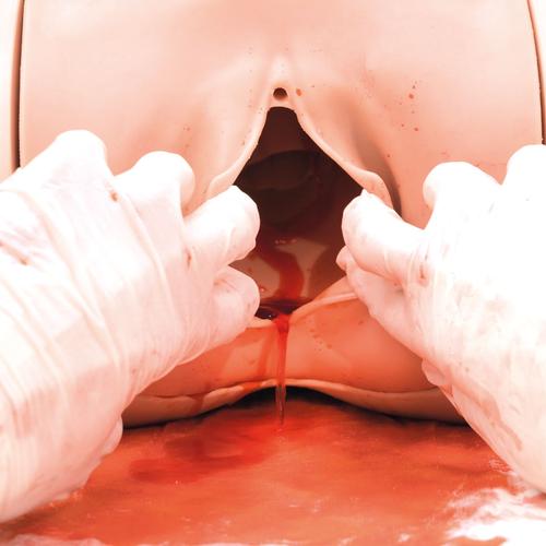 Image 5 - POSTPARTUM HEMORRHAGE TRAINER - PPH TRAINER P97