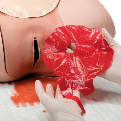 Image 2 - PLACENTAS FOR PPH TRAINER P97 (SET OF 10)