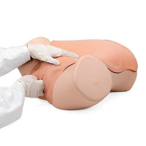 Image 2 - GYNECOLOGIC SKILLS TRAINER P91