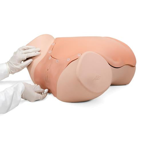 Image 3 - GYNECOLOGIC SKILLS TRAINER P91