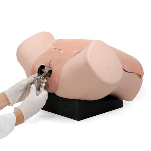 Image 4 - GYNECOLOGIC SKILLS TRAINER P91