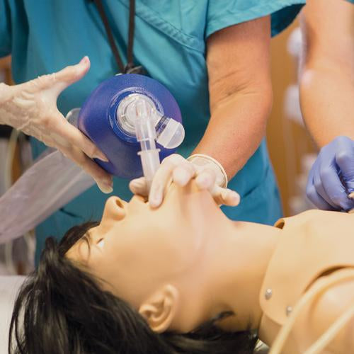 Image 5 - COMPLETE LUCY - EMOTIONALLY ENGAGING BIRTHING SIMULATION