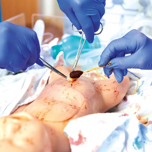 Image 6 - ADVANCED LUCY - EMOTIONALLY ENGAGING BIRTHING SIMULATION