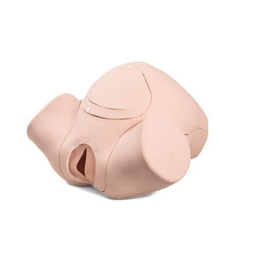 3B Birthing Simulator P90 Basic new