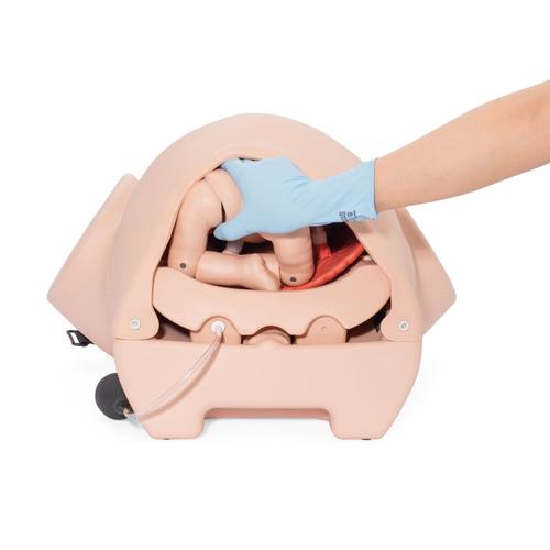 Image 2 - 3B BIRTHING SIMULATOR P90 PRO