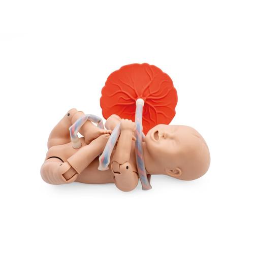 Image 4 - 3B BIRTHING SIMULATOR P90 PRO