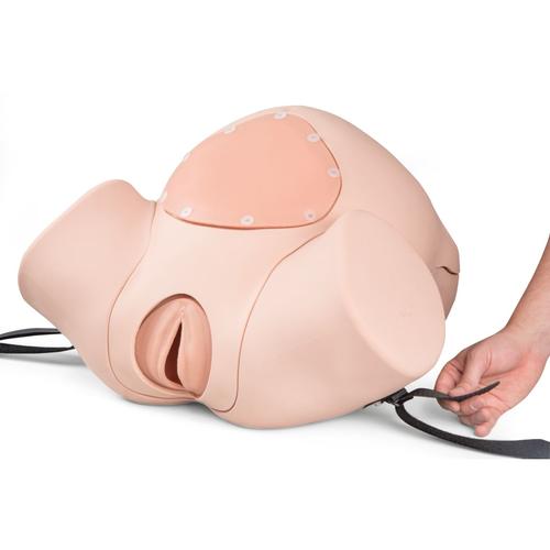 Image 5 - 3B BIRTHING SIMULATOR P90 PRO