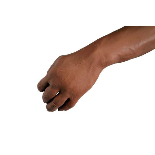 Image 4 - MULTI-VENOUS IV & INJECTION ARM, LIGHT SKIN TONE